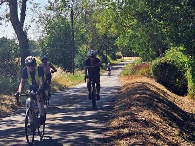 Four cyclists ride along sun-dappled rural road lined with trees; lead rider wears yellow safety vest over blue shirt, golden crop field on left, shadows from overhead trees on pavement.