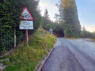 Steep hill warning sign showing 25 percent gradient with bilingual text Keep in low gear  Gadwch mewn gear isel beside tree-lined country road curving into conifer forest.