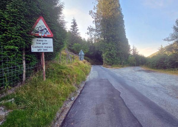 Steep hill warning sign showing 25 percent gradient with bilingual text Keep in low gear  Gadwch mewn gear isel beside tree-lined country road curving into conifer forest.