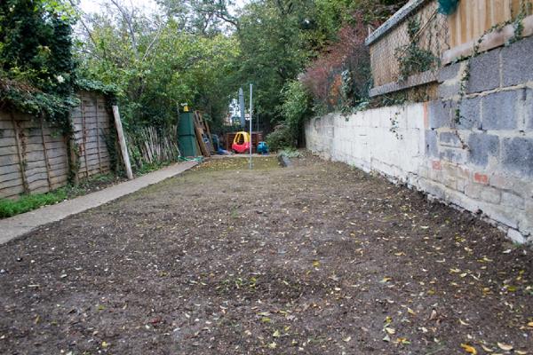 Garden lawn after seven days of growth, showing patchy grass coverage with bare soil visible, bordered by residential fencing and walls